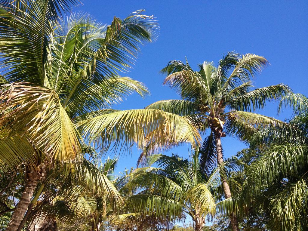 The Pelican Key Largo Cottages Экстерьер фото
