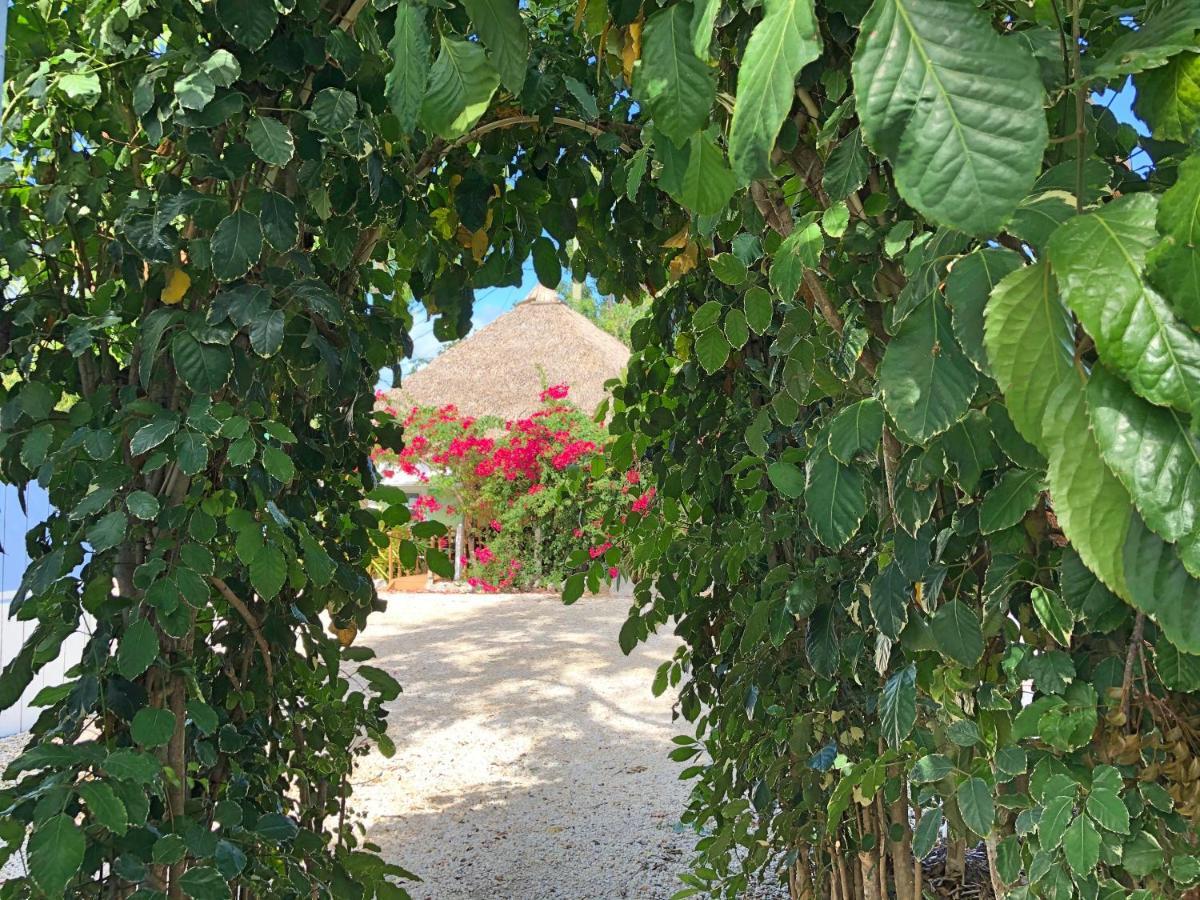 The Pelican Key Largo Cottages Экстерьер фото